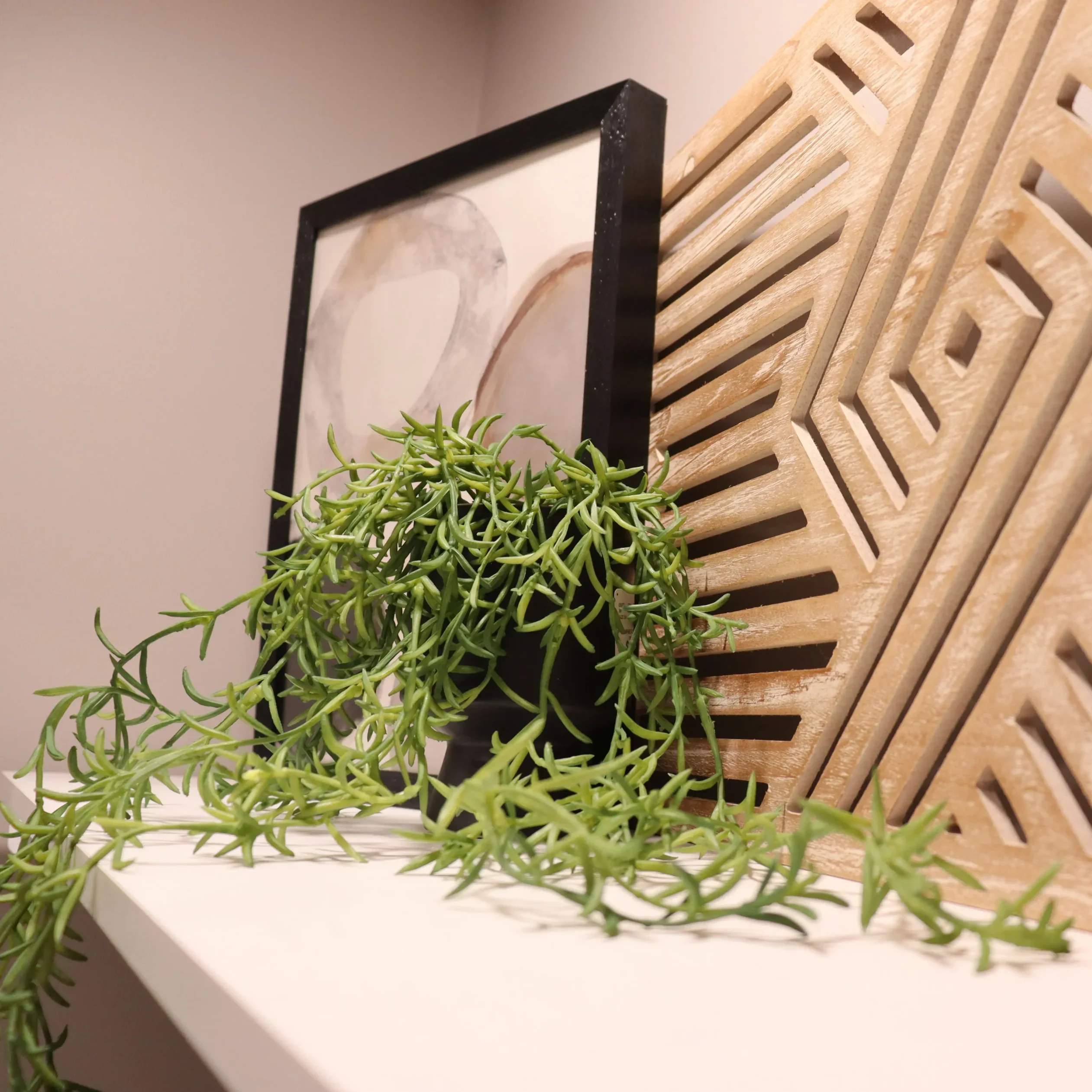 Modern decorations including art and a plant in a common area